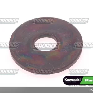 שייבה TERYX4 800 23