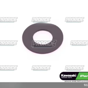 דסקית ניילון ER650N 13/EX650F 13W800 CAFE 19