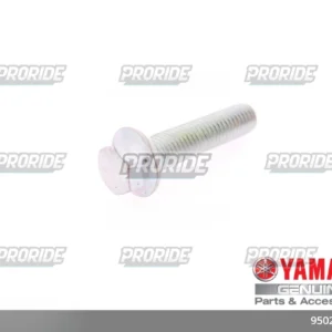 בורג MT-07 15-20