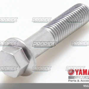 TENERE700 21 בורג