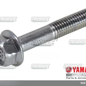 TENERE700 21 בורג