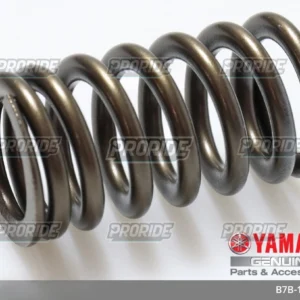 קפיץ שסתום פנימי YZ250F 19