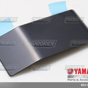 פלטה ברזל לוח שעונים XSR900 22