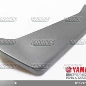 כיסוי נוי שמ' אפור MT09 18