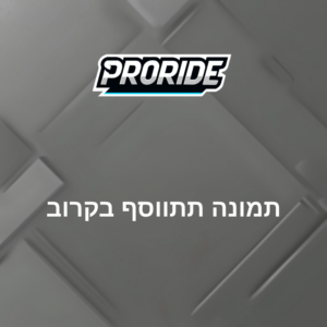 ממלא מקום